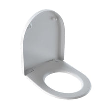Geberit iCon wc-zitting softclose quick release afneembaar