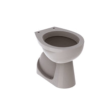 Geberit Publica toilet met holle bodem verticale afvoer