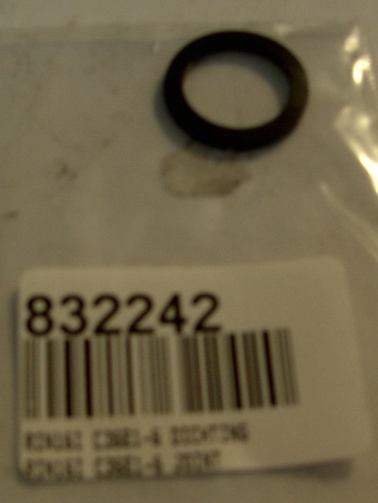 RIN 16I C36E1-6 Dichting