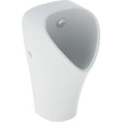 Geberit Narva urinal wall-hung without rebord entrée derrière 33x60x30cm white