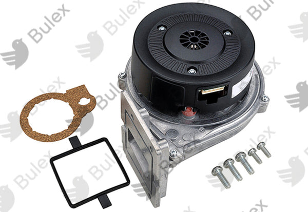Bulex extracteur