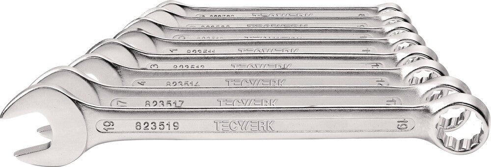 Tecwerk ring-steeksltelset 12 stuks 6-22 mm