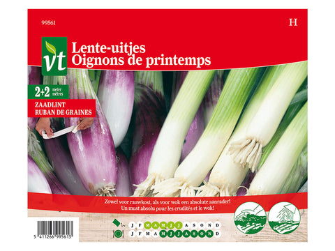 VT zaadlint lente-uitjes 2+2 m, groentenzaden — SKU COLOS-905443, EAN 5411266995613