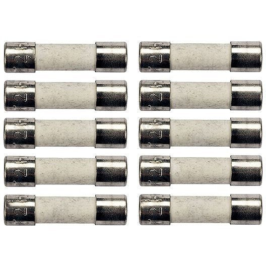 ZEKERING VAILLANT THERMO T2 (2A) PER 10 STUKS