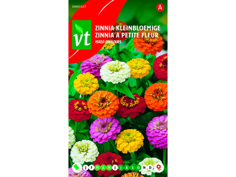 VT zinnia kleinbloemig multicolor