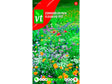 VT zomerbloemen