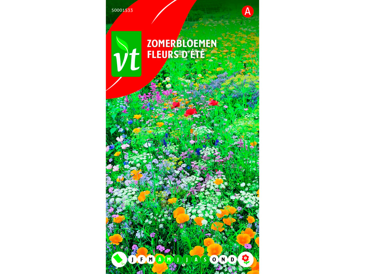 VT zomerbloemen